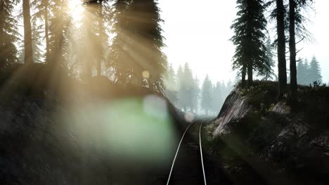 Flight-Over-A-Railway-Surrounded-By-Forest